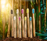 Humble Brush - Adult Bamboo Toothbrush
